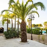 Giardino Dei Pini - Boutique Alliste