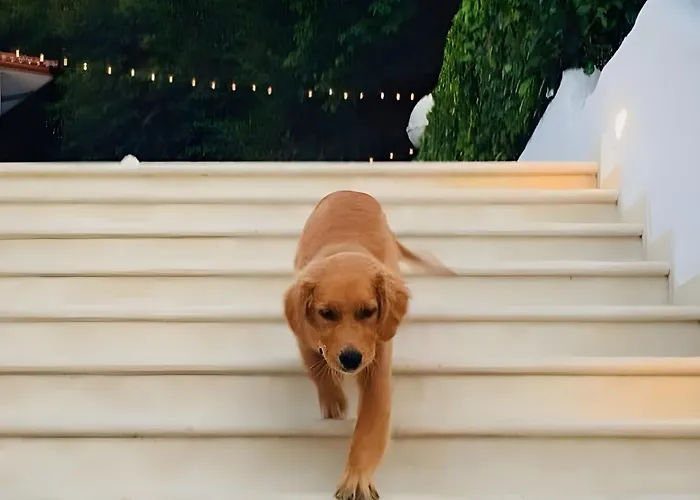 Hotel Giardino Dei Pini